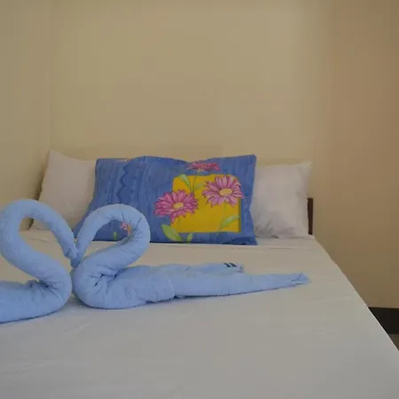 Amor En Beach House